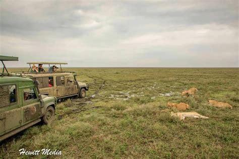 Camping in the Serengeti National Park