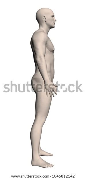Vector Illustration Realistic Man Naked Man Stock Vector Royalty Free Shutterstock