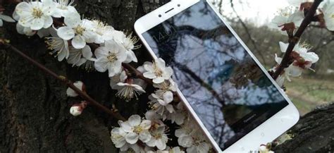 Обзор Xiaomi Redmi 5A – Папа и Техника