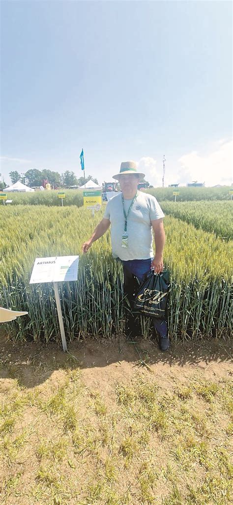 Покривните култури заслужено заеха място в добрите земеделски практики ...