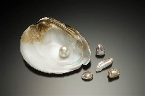 Жемчуг в море (74 фото)