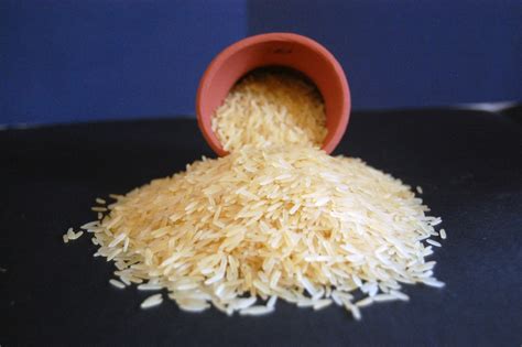 Traditional Golden Basmati Rice Midas Overseas