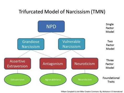 4 Types Of Narcissism Share This Trait Different Brains