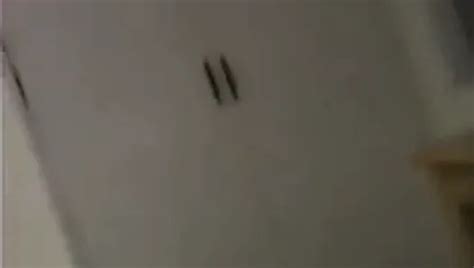 Rui Sakuragi Japanese Beauties Uncensored Porn XHamster