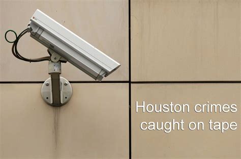 Naked Peeping Tom Takes Dip In Homeowners Pool