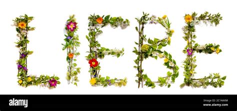 flower  blossom letter building word liebe means love stock photo