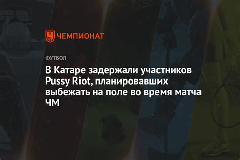 В Катаре задержали участников Pussy Riot планировавших выбежать на поле во время матча ЧМ