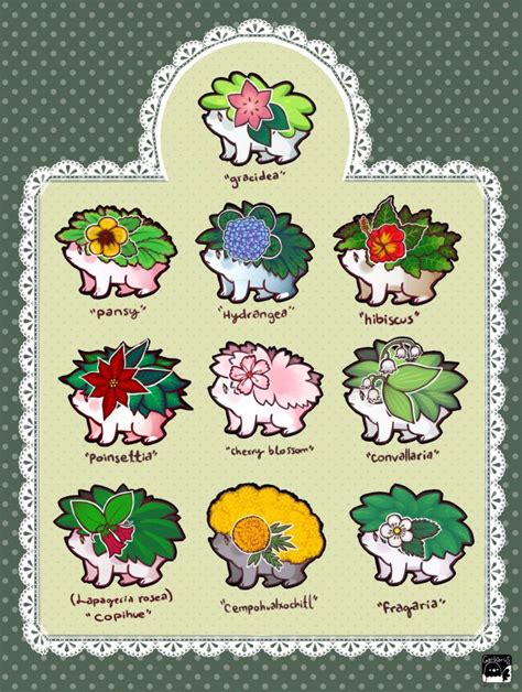 Shaymin Variants | Pokémon species, Pokemon, Pokemon breeds