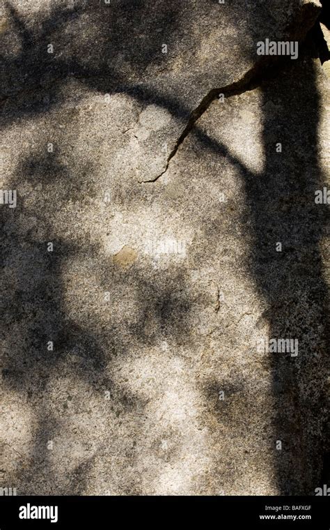 Eucalypt Trees Cast Shadows Over Rocks Stock Photo Alamy