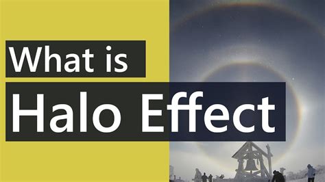 What is halo effect in psychology | Example Halo Effect| Psychology ...