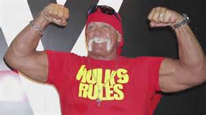 Judge Rejects Injunction In Hulk Hogan Sex Tape Case Wtsp