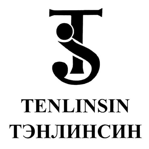Демисезонная мужская куртка Tenlinsin Арт. W- 191 | отзывы