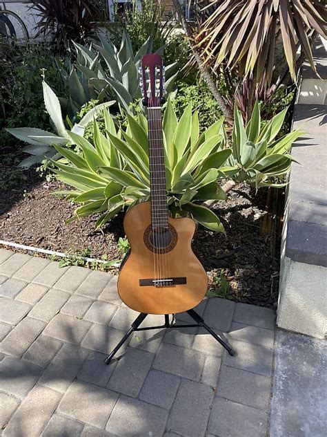 Sunlite Acoustic Electric Guitar Reverb