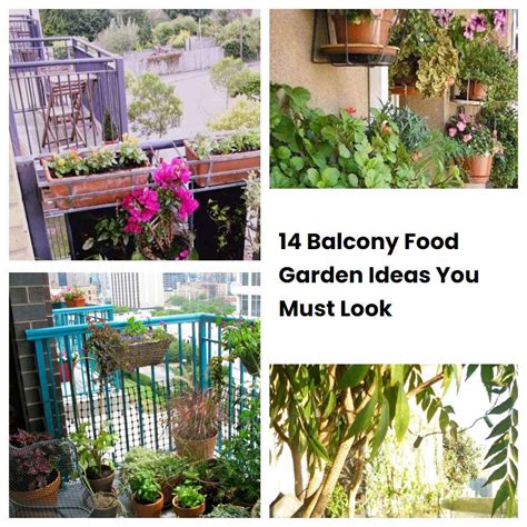 14 Balcony Food Garden Ideas You Must Look SharonSable