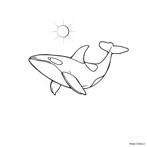 Killer Whale Coloring Sheet