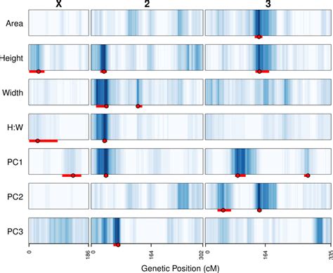 Positions Of Qtl Mapped For All Lobe Shape And Size Traits The Lod