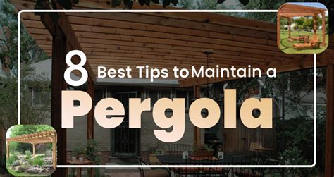 How to Maintain a Pergola (8 Best Tips) - Woodsshops