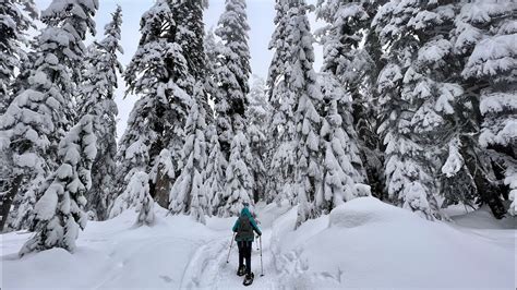 Hiking Snowshoe Snoqualmie Pass Youtube