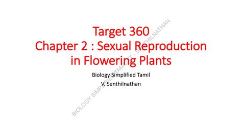 Chapter 2 Sexual Reproduction In Flowering Plants Part 1 Pdf