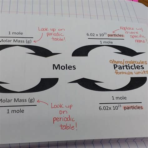 Mole Map Math Love