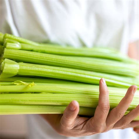 U.S. Issues Travel Warnings For Armenia, Belarus and Nepal - Parade