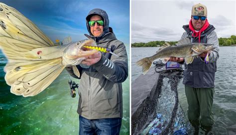 Fall Walleye Fishing Tips Target Walleye