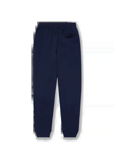 Fleece Jogger Pant In Navy Ralph Lauren® Hk