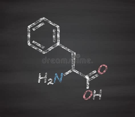 Phenylalanine L Phenylalanine Phe F Amino Acid Molecule Stock