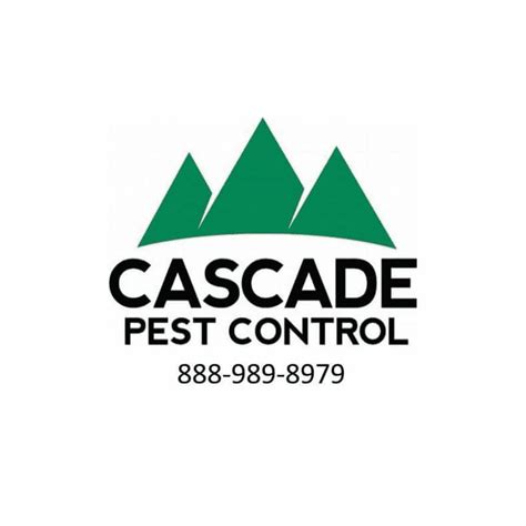 Expert Pest Control Services In Seattle Wa Region