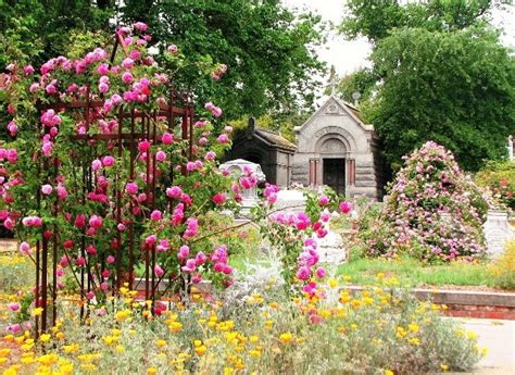 The Texas Rose Rustlers - Dave's Garden