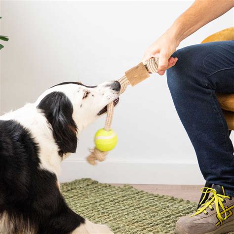 Regalos De Fidelidad Juguete De Cuerda Con Pelota Y Palo De Caf Dailys