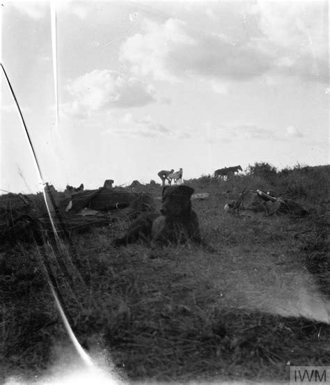 The Second Boer War Imperial War Museums