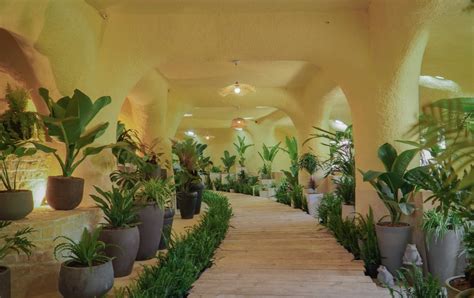 TOUR TOP ĐIỂM HOT ĐÀ LẠT TTV