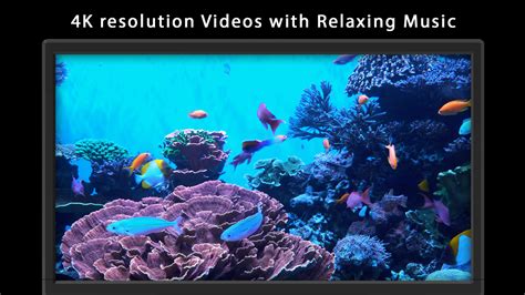 Aquarium 4K Relax Meditate Sleep With Aquatic Fish Tank Aqua Sea