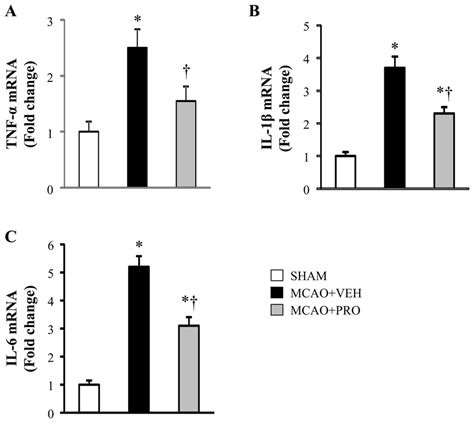 Mrna Expression For Proinflammatory Cytokines Tnf α A Il 1β B And