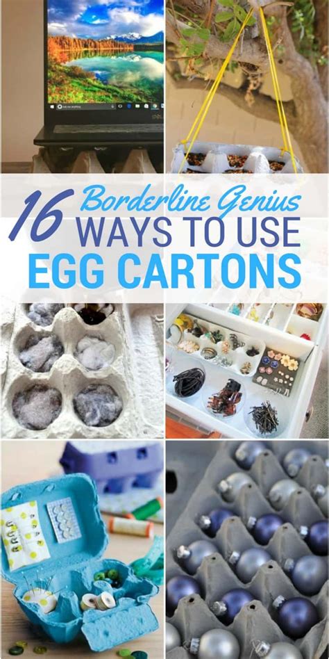 Borderline Genius Ways To Use Egg Cartons Artofit