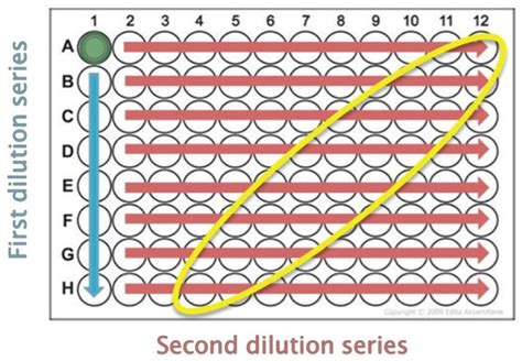 Overcoming The Challenges Of Limiting Dilution