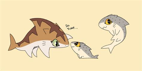 Cat Shark Species Of Sharks 3d Artist Purring Funny Cute Location