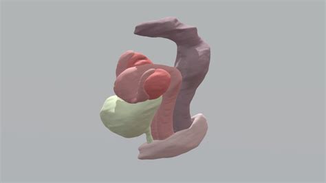 Vagina D Models Sketchfab