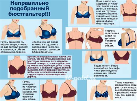 Как определить размер бюстгальтера (простые таблицы) | Для нас любимых ...