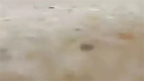 Free Wife At Work Porn Videos XHamster