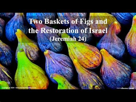 Two Baskets Of Figs And The Restoration Of Israel Jeremiah 24 From