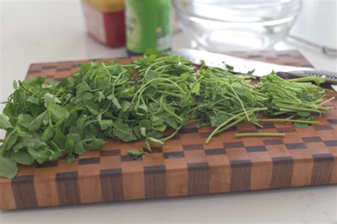 Minari Salad Korean Water Dropwort Beyond Kimchee