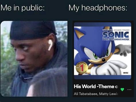 The Meme In Public My Headphones