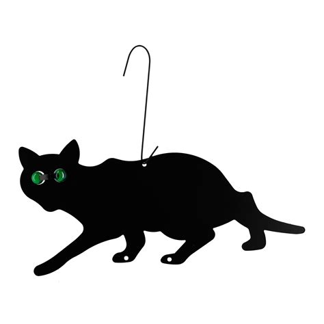 Gato Preto Ecoced