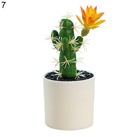 Artificial Cactus Plants Mini Fake Desert Plants In White Pots