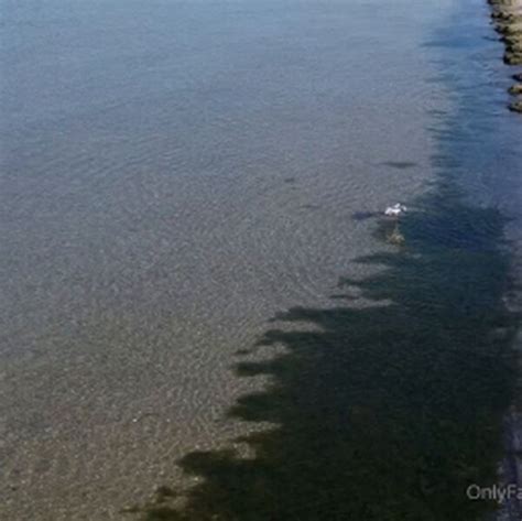 Cinderella Girl Cinderella Story Cinderelagirl Cinderelastory Nude Leaks OnlyFans Fapezy