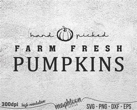 Farm Fresh Pumpkins Hand Picked SVG Farm Fresh Harvest SVG Etsy