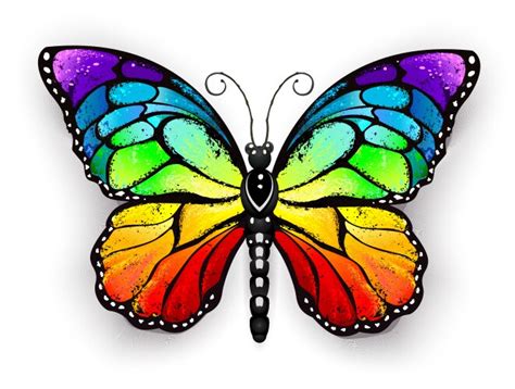 Rainbow Butterfly Vector Images (over 5,100)