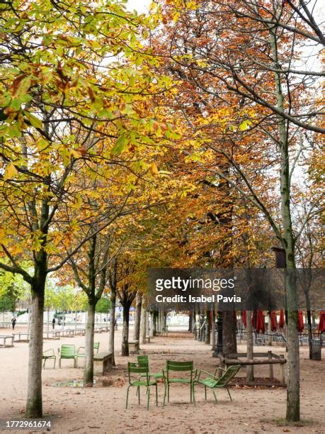 184 Jardin Du Luxembourg Autumn Stock Photos High Res Pictures And